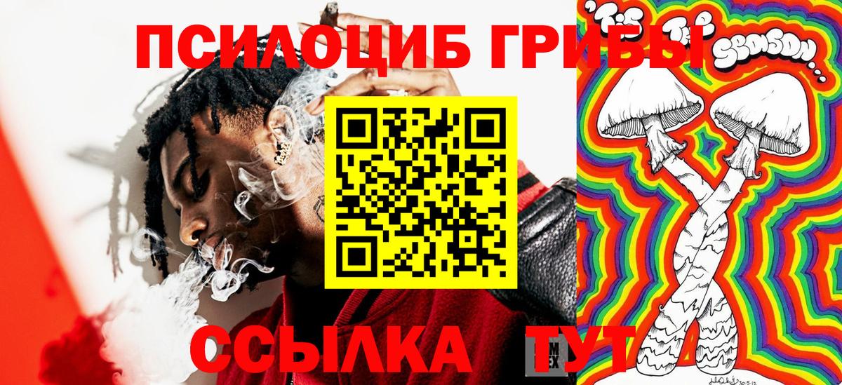 Тольятти  Псилоцибиновые грибы Psilocybine cubensis  Вход с VPN  Псилоцибиновые грибы Magic Shrooms 